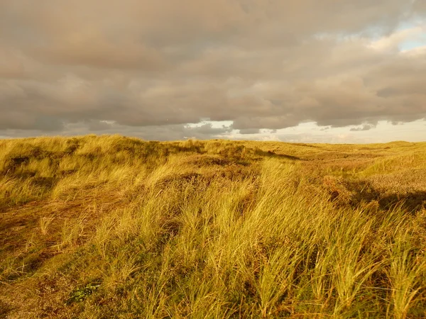 Dune del mare del Nord al tramonto sull'isola ameland in Olanda — Foto Stock