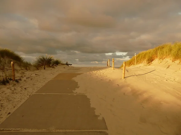 日落在岛 ameland 在荷兰的北海沙丘 — 图库照片