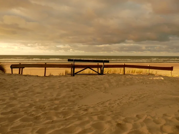 Dunes de la mer du Nord au coucher du soleil sur l'île d'Ameland aux Pays-Bas — Photo