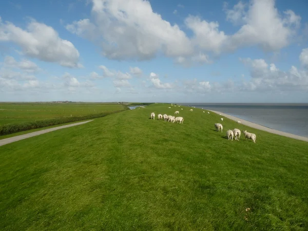 Severní moře přehrada v Holandsku — Stock fotografie