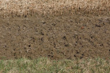 A farmers field in germany clipart