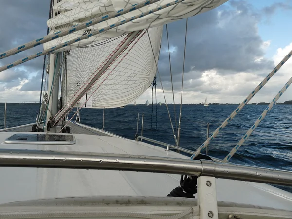 Fin segling i havet — Stockfoto
