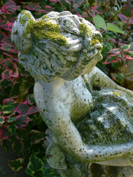 Bonita estatura en el jardín de verano — Foto de Stock