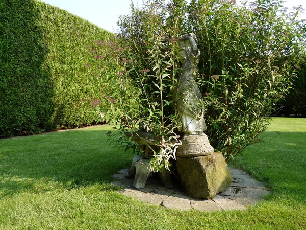 Bonita estatura en el jardín de verano —  Fotos de Stock