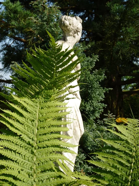 Bonita estatura en el jardín de verano — Foto de Stock