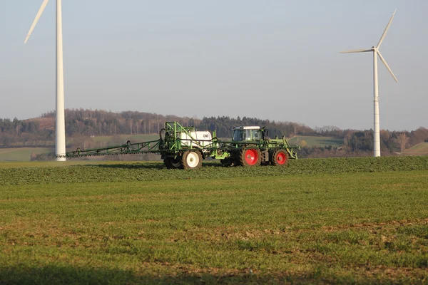 A farmers cornfield in germany — Stock Photo, Image