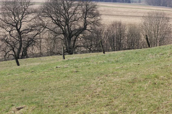 En jordbrukare fältet i Tyskland — Stockfoto