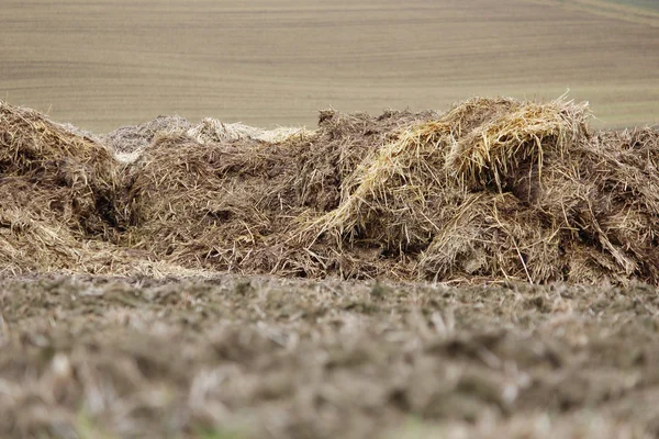 stock image A farmers field in germany