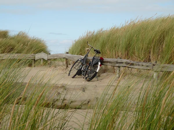 Велосипед на пляжі — стокове фото