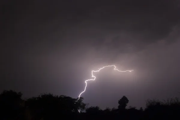 Orm lightning — Stockfoto