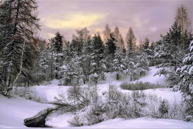 Winter Landscape clipart