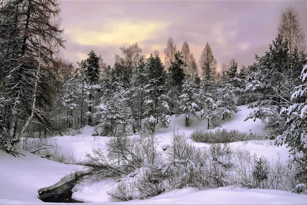 Paisaje invierno — Foto de Stock