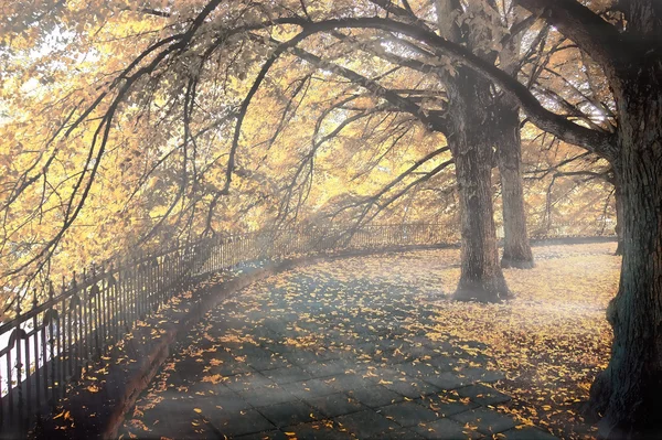 Hösten i tallinn — Stockfoto