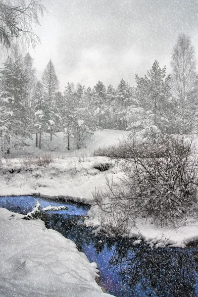 Chute de neige dans la forêt — Photo