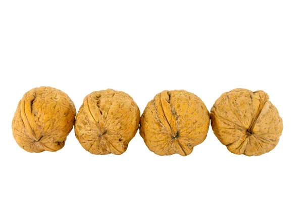 Неправильная линия грецкого ореха — стоковое фото