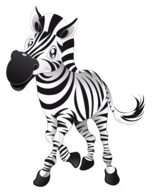 Baby Zebra. clipart