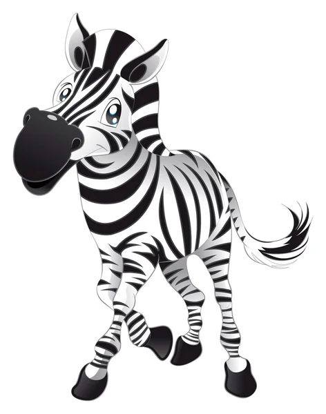 Zebra bebé . —  Vetores de Stock