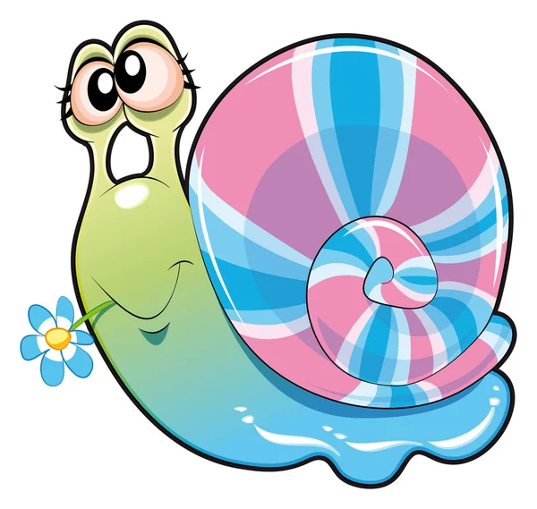 Petit escargot — Image vectorielle