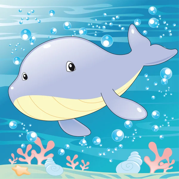 Baby Whale. — Stock Vector