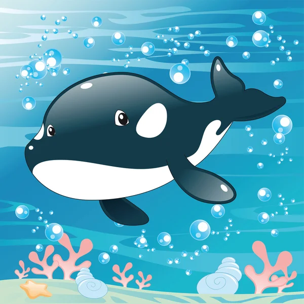 Baby Killer Whale. — Stock Vector