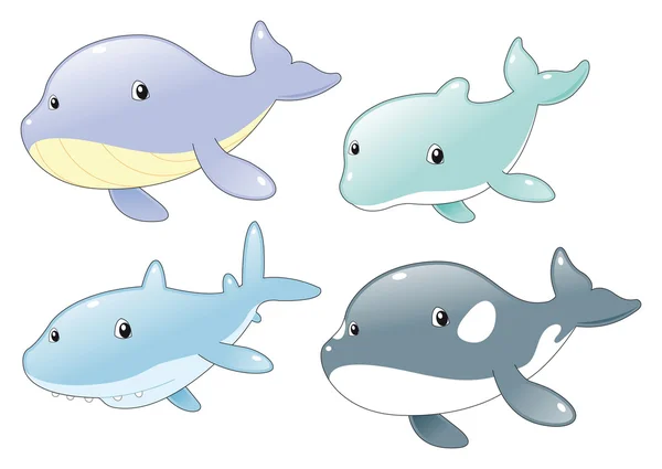바다 물고기 가족: 돌고래, 상어, 고래, 범 고래 — 스톡 벡터