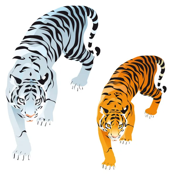 Тигры. — стоковый вектор