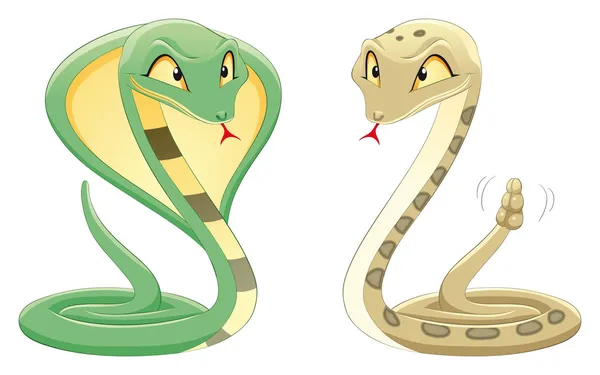 Dva hadi: cobra a zmiji. — Stockový vektor