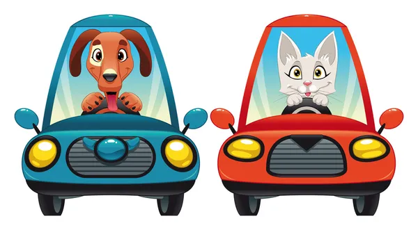 Dieren in de auto: hond en kat. — Stockvector