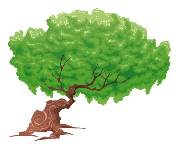 Árbol único — Vector de stock