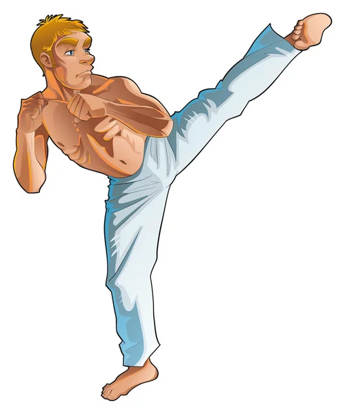 Martial art pose. — Stock Vector