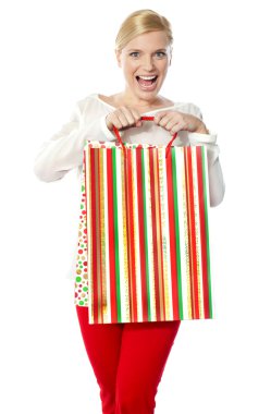 Happy shopping woman holding bag clipart