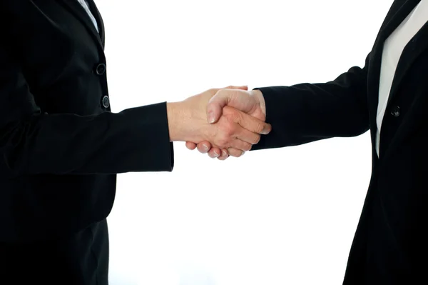 Obchodní dohoda, handshake — Stock fotografie