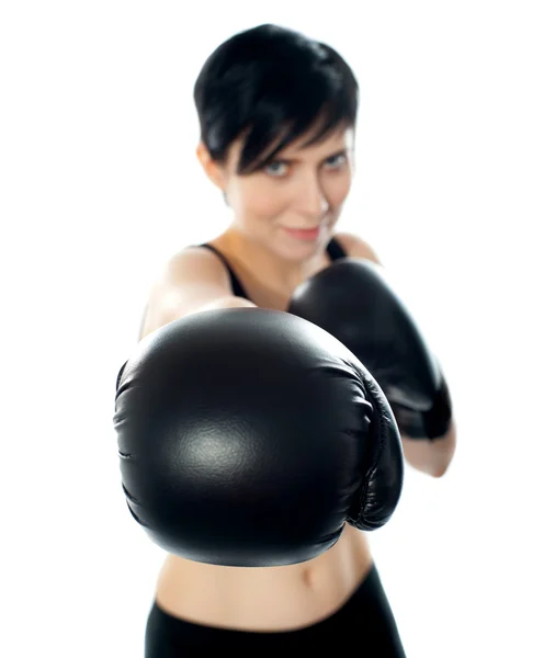 Boxing champ — Stock Photo, Image