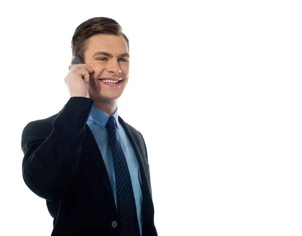 Adulto guapo ejecutivo de comunicación en el móvil — Foto de Stock