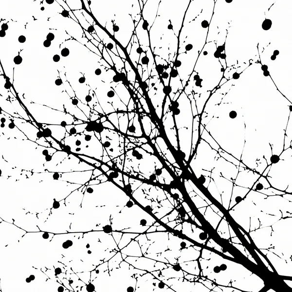 Σιλουέτα του αφηρημένη αιωνόβια δέντρα — Φωτογραφία Αρχείου