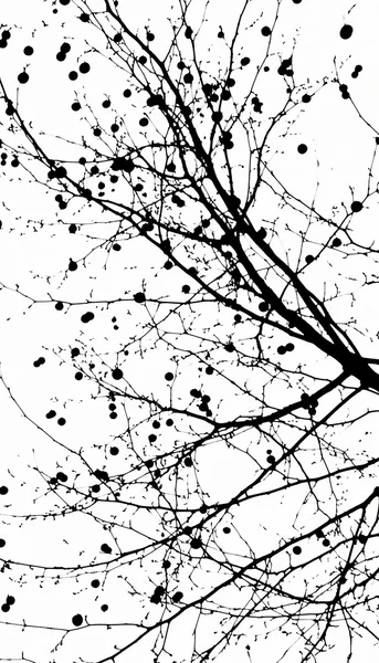 Zwart-wit boom, abstracte aard — Stockfoto