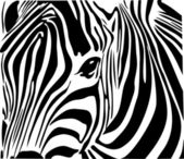 Zebra-Afrikában