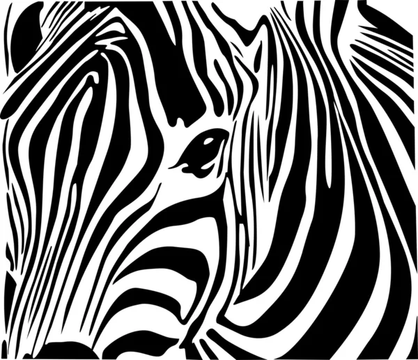 Afrika'da zebra — Stok Vektör
