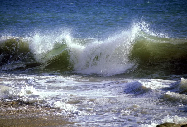 stock image Crashing Waves