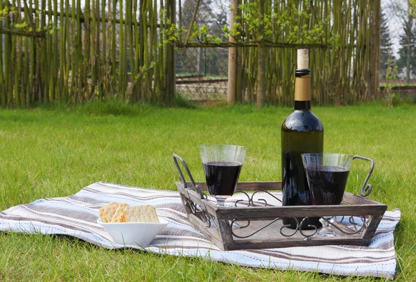 Fles en twee glazen rode wijn op een dienblad in de tuin Stockfoto