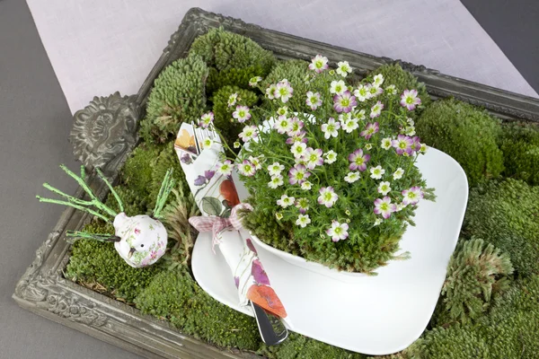Zöld dekoráció, moss, virágok és étkészlet — Stock Fotó