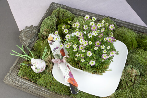 Green decoration with moss, flowers and tableware