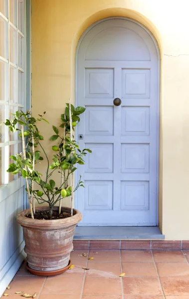 stock image Lemon tree in a patio with a blue door