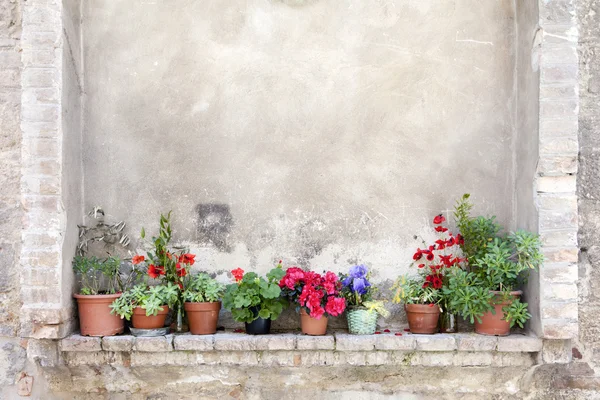 在托斯卡纳的古墙上的花盆 免版税图库图片