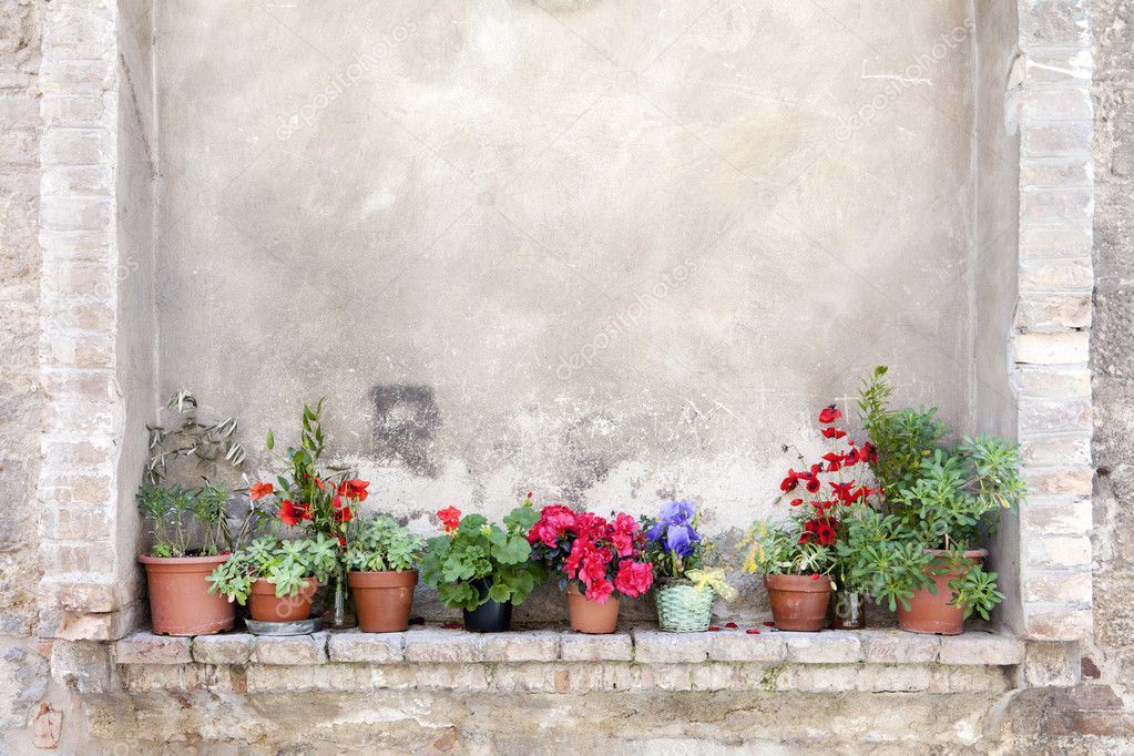 Flower pots on an ancient wall in Tuscany