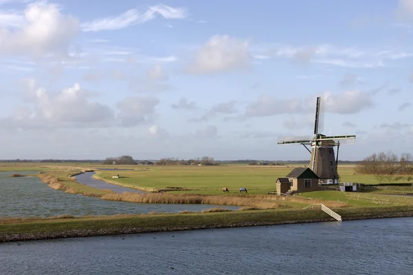 stock image Dutch island Texel