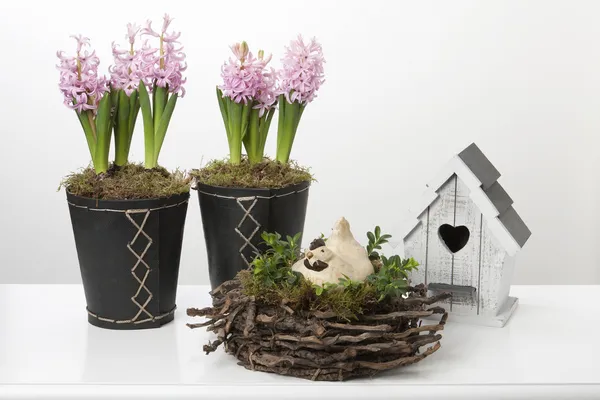 Våren dekoration med hyacinter, fågelholk och kyckling — Stockfoto