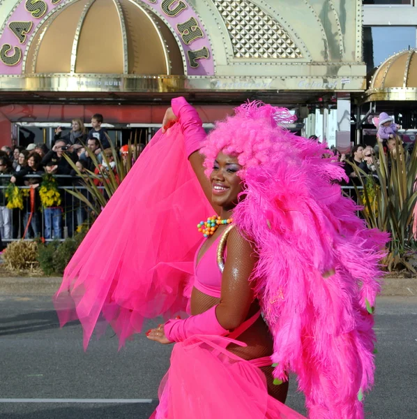 The woman in pink feathers Stock Picture