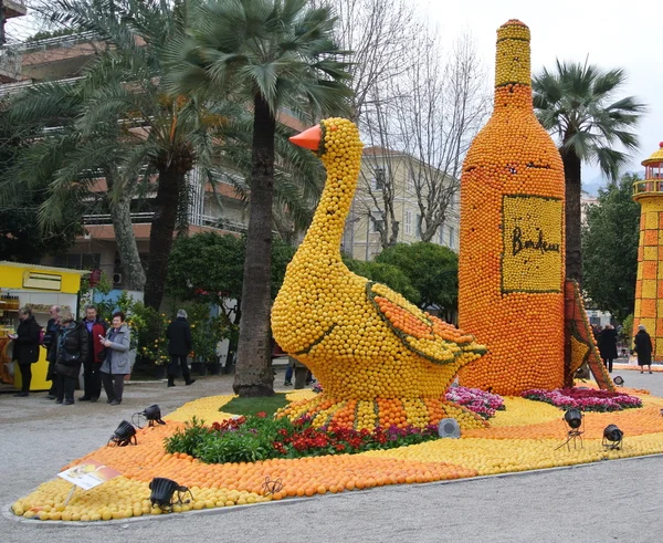 Festival of gold fruit - goose and bottle — Stock Photo, Image