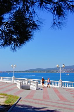 Deniz kıyısında. Karadeniz. gelendzhik